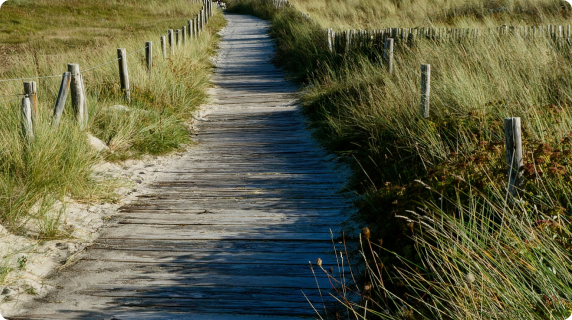 Relaxed Day Hiking Trails